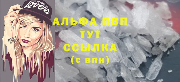 дмт Бородино