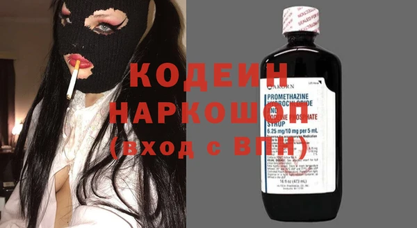 дмт Бородино