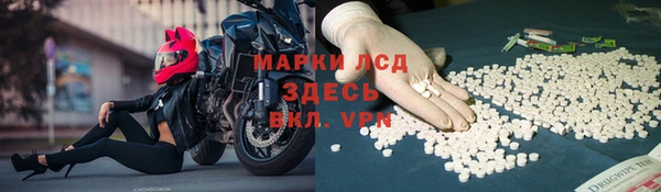 дмт Бородино