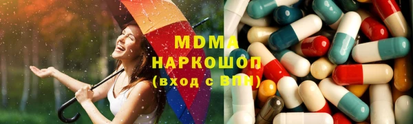 дмт Бородино