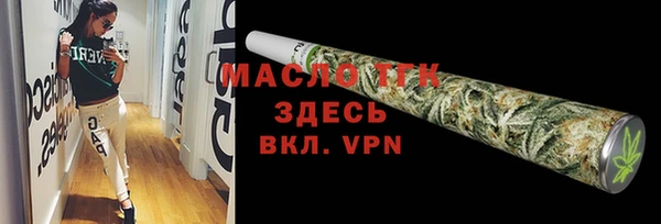 дмт Бородино