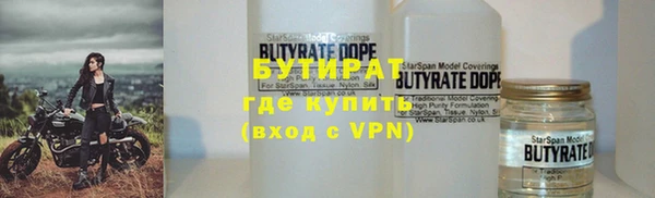 дмт Бородино