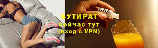 дмт Бородино