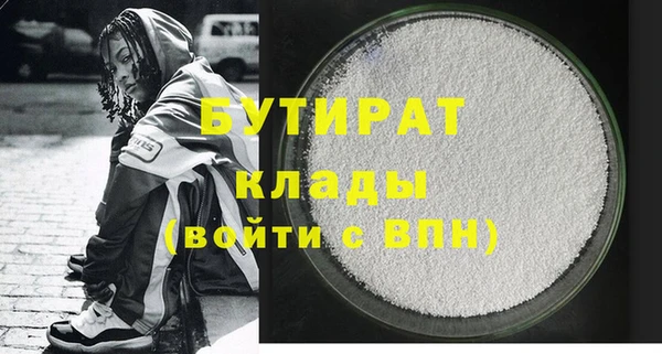 дмт Бородино