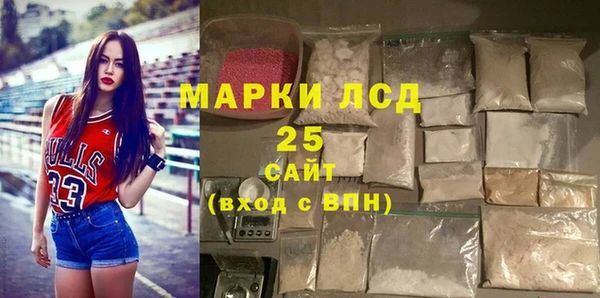 дмт Бородино