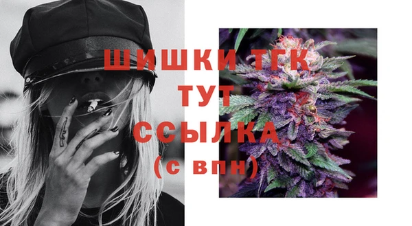 дмт Бородино