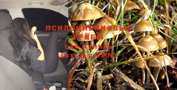 Альфа ПВП Бугульма