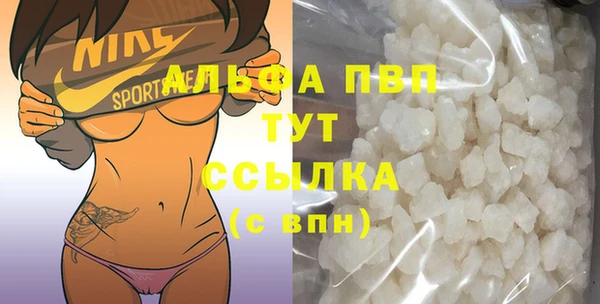 дмт Бородино